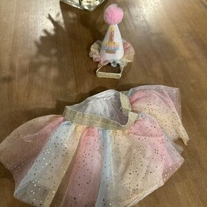 Girls 1st Birthday party hat & tutu